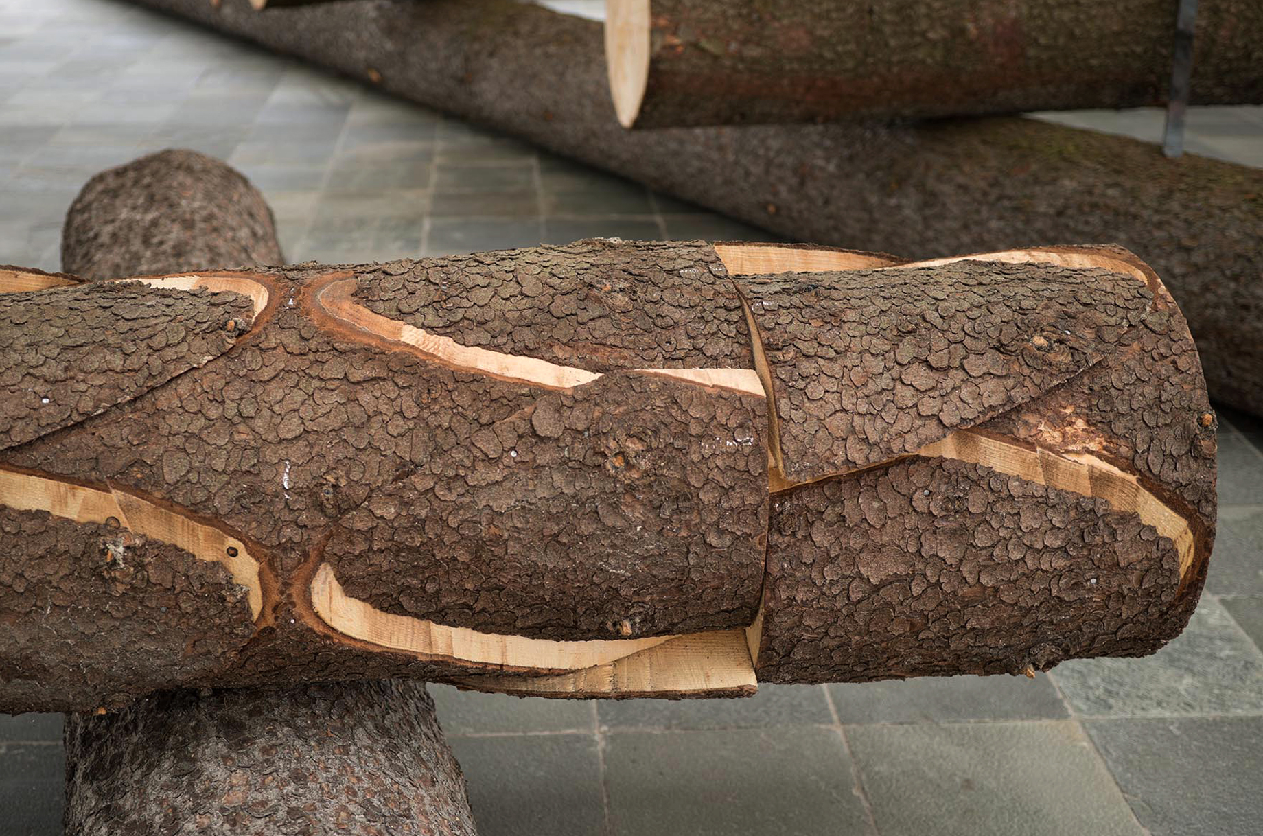 Holzbau Scharf Vertikale Anstrengung 3